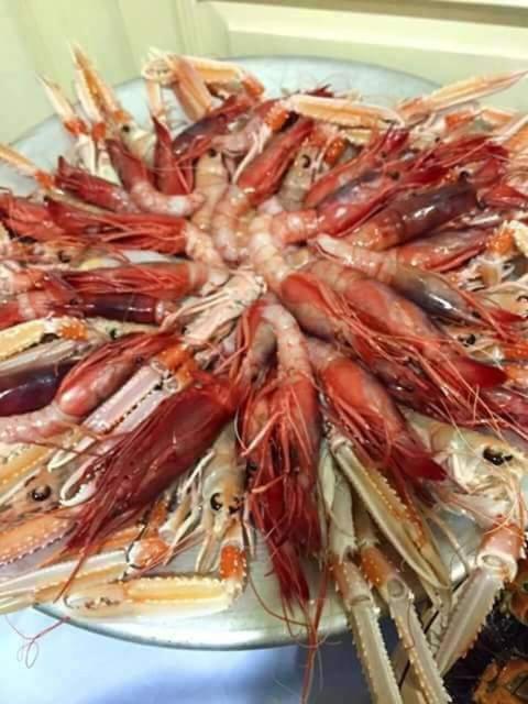 Del Pescatore *